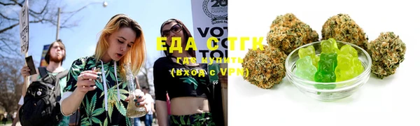 spice Богородицк