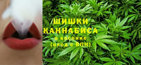 СК Бикин