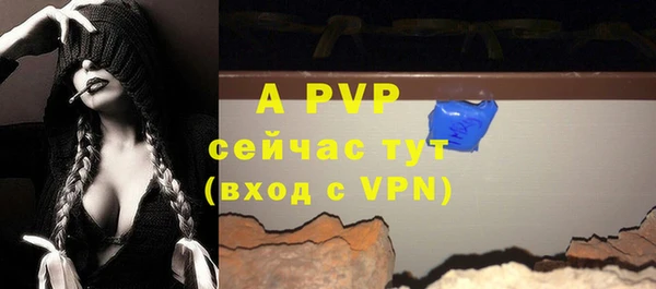 стафф Богданович
