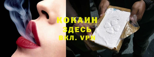 spice Богородицк