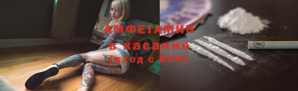 spice Богородицк
