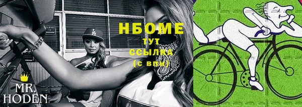 spice Богородицк