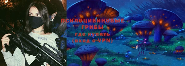 spice Богородицк
