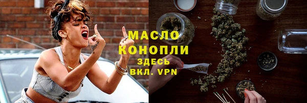 spice Богородицк
